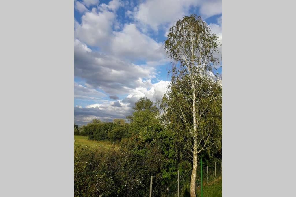 Entspannen Im Dorf Am See Zahren Buitenkant foto