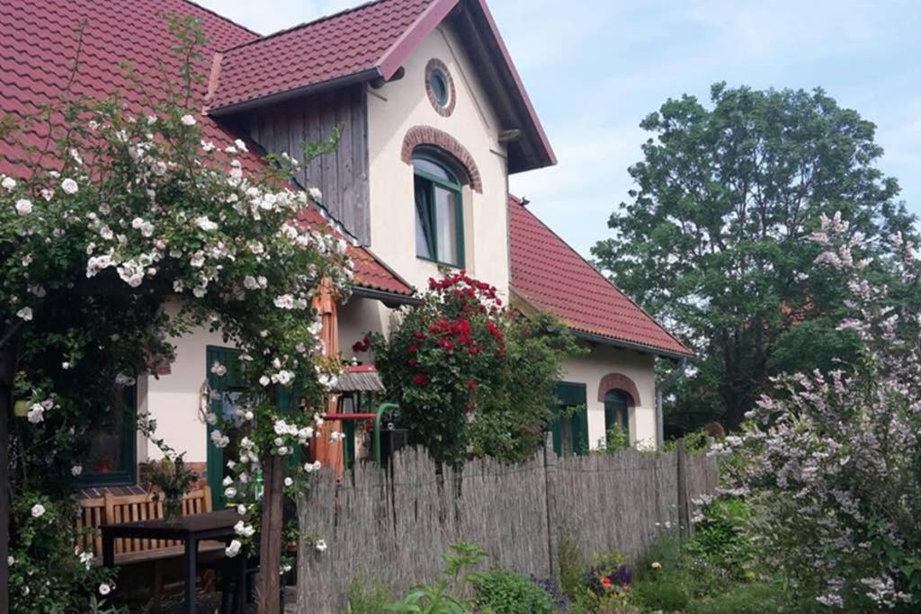 Entspannen Im Dorf Am See Zahren Buitenkant foto